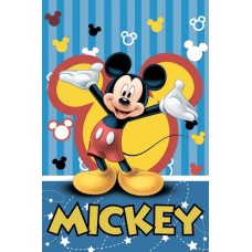 20105A5 Vafa Mickey Mouse 20x15cm